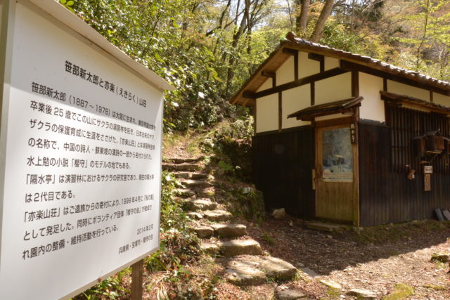 武田尾･演習林の桜の研究室「隔水亭」
